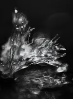 0M3A9819.webp 0M3A9819.webp