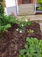 20190620_070835.webp