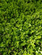 IMG_20190430_143132-1.webp