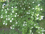 BILD1157.JPG