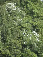 BILD1149.webp