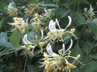 BILD1164.webp