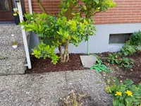 20190617_164957.jpg