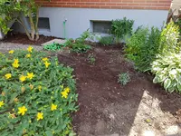 20190617_165009.webp