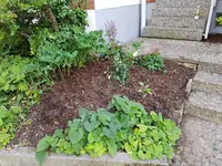 20190617_164947.webp
