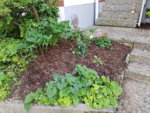 20190617_164947.jpg