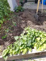20190617_121847.jpg