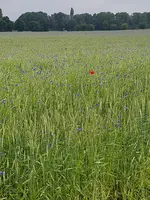 20190620_101019.webp
