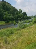 20190620_113552.webp