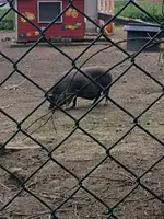 20190620_152131.jpg