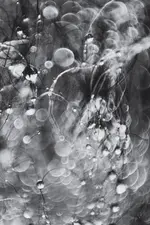 0M3A9974.webp 0M3A9974.webp