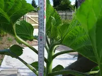 k-DSC01234.webp