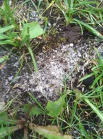 IMG_20190620_193622.webp