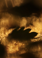 Godzilla2.webp