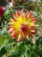 20190621_103233.webp