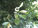 BILD1180.JPG