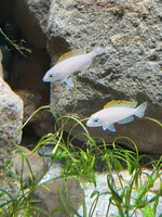 20190621_210406.webp