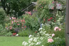 Juni  5619.webp