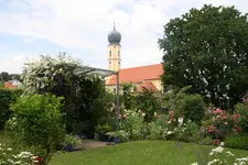 Juni  5719.webp