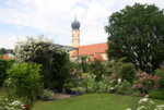 Juni  5719.JPG