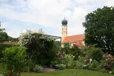 Juni  5819.JPG