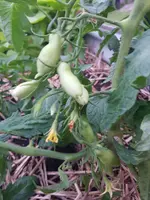 20190622_051117.webp