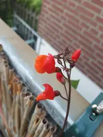 20190622_051312.webp