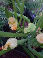 20190622_051206.webp