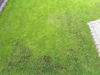 20190622_075721.webp