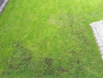 20190622_075721.jpg