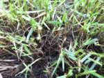 20190622_075754.jpg