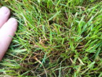 20190622_075812.jpg