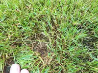 20190622_075842.jpg