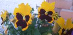 20190621_215629.jpg
