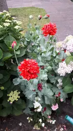 20190621_193912.jpg