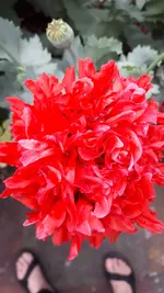 20190621_193920.webp