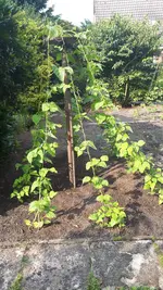 20190621_175641.webp