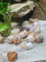 20190622_122902.webp