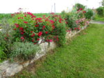 DSC00449.JPG