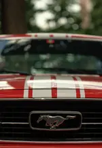 Mustang02.webp