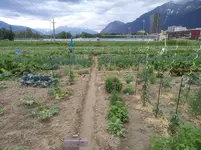 IMG_20190620_151707.webp