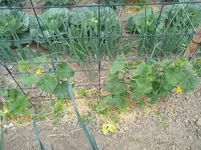 IMG_20190620_152128.webp