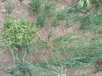 IMG_20190620_152600.webp