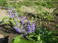 20_06_2019 (71).webp