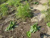 20_06_2019 (50).webp