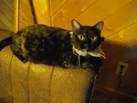 IMGP7977.webp