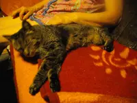 IMGP7981.webp