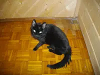 IMGP7982.webp
