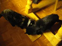 IMGP7983.webp