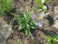 20_06_2019 (29).webp